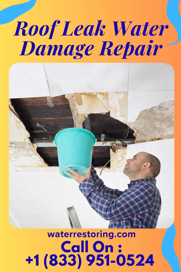 Roof Leak Water Damage Repair in Kaka, AZ